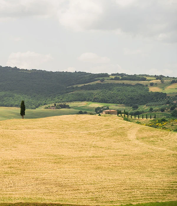 b&b Castiglione d'Orcia con terrazza panoramica La Terrazza sull'Orcia